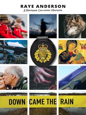 cover image of Down Came the Rain